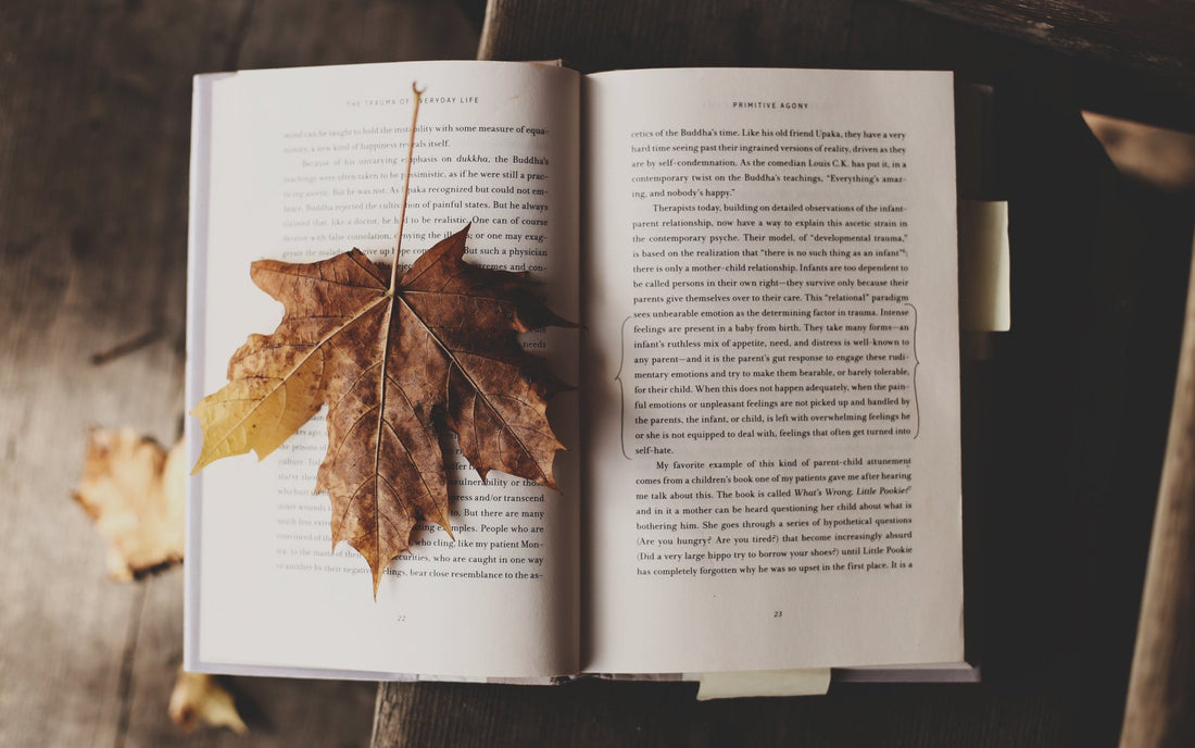 The Book Log