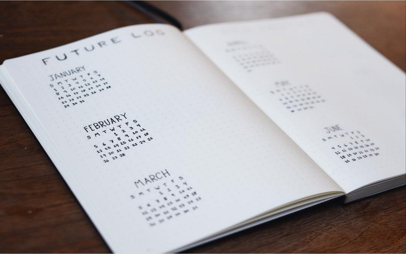 Future Logs