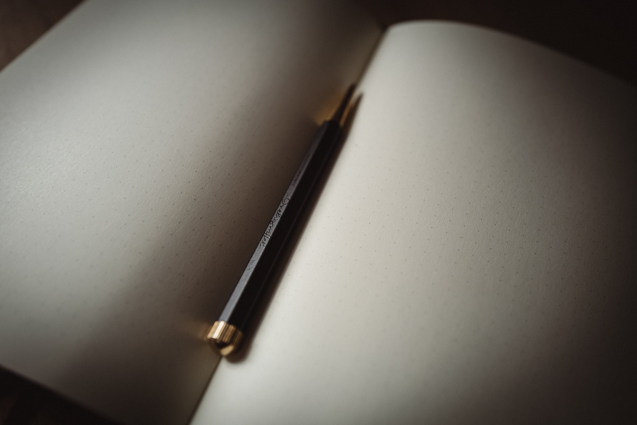 The Pen